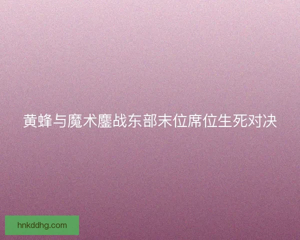 黄蜂与魔术鏖战东部末位席位生死对决