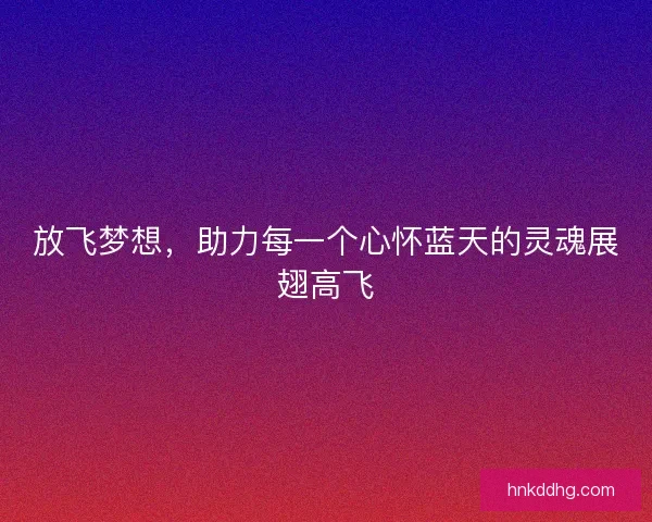 放飞梦想，助力每一个心怀蓝天的灵魂展翅高飞