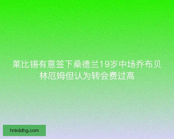 莱比锡有意签下桑德兰19岁中场乔布贝林厄姆但认为转会费过高